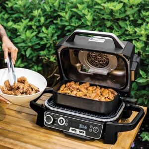 Ninja Woodfire 7-in-1 Electric BBQ Grill & Smoker in Cool Grey  