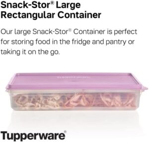 Tupperware Brand Snack-Stor Large Rectangular Food Storage Container with Lid, 3.6L – Airtight, BPA-Free, Dishwasher Safe