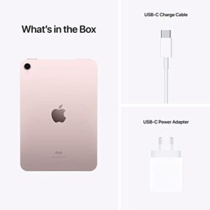 2021 iPad Mini (Wi-Fi, 256GB) - Starlight (6th Generation)