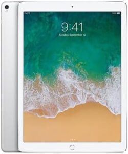 Apple iPad Pro (12.9-inch) WiFi Only Silver 256GB (IDA1584SLV256GBB) (Renewed)